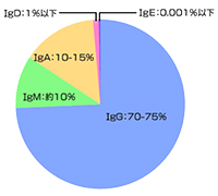 血液中の免疫グロブリン割合